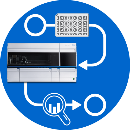 HighThroughput Workflows